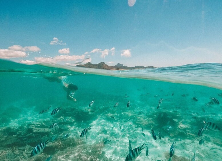 Picture 14 for Activity Mauritius: Half-Day Private Speedboat Tour from Blue Bay