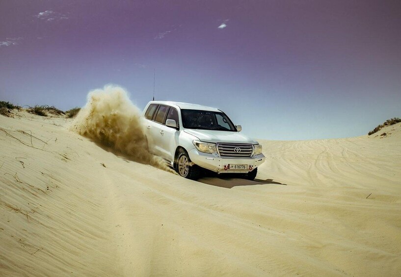 Picture 8 for Activity Private Desert Safari with Inland Sea visit