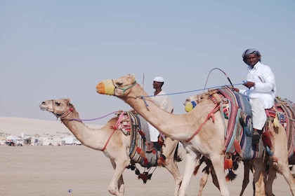 Safari privado por el desierto con visita al mar interior