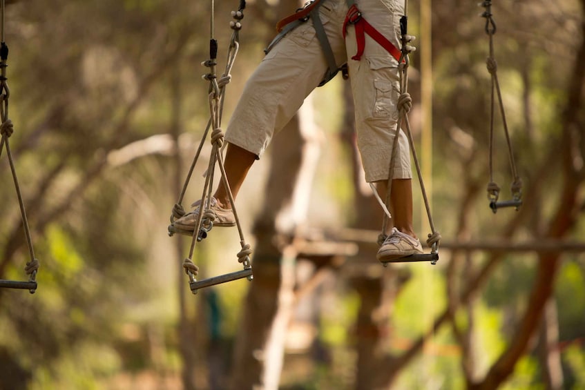 Picture 6 for Activity Mallorca: Adrenaline Tree Top Adventure Entry Ticket