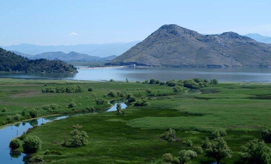 Picture 11 for Activity Skadar Lake Sightseeing: Explore Montenegro's National Park