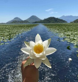 Skadar Lake Sightseeing: Explore Montenegro's National Park