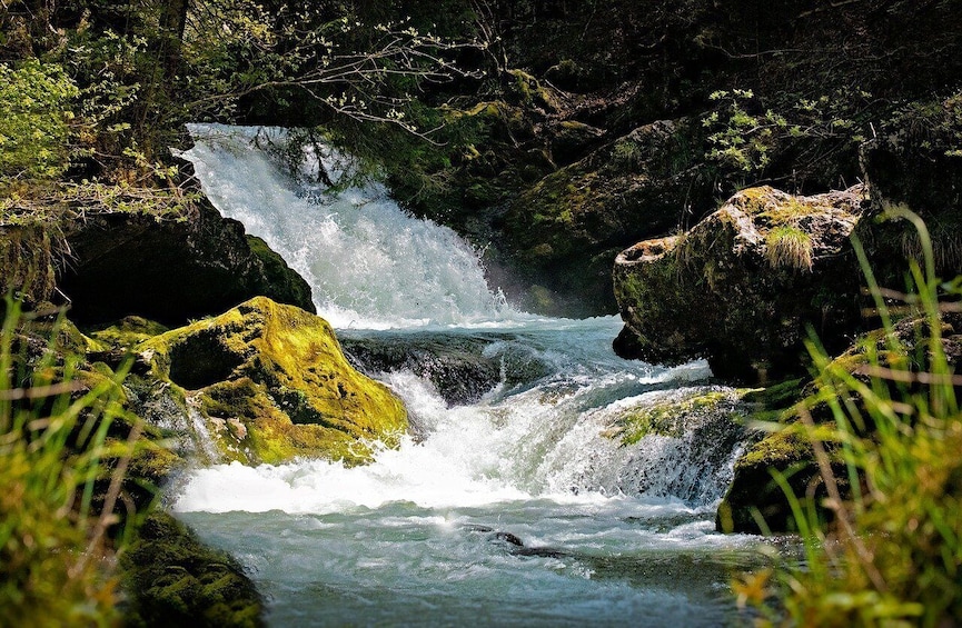 Picture 2 for Activity Visit Aburi Garden, Tetteh Quarshie Cocoa Farm & Waterfall