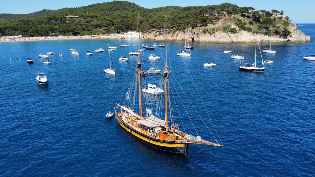 From Palamos: Scenic Boat Trip to Calella de Palafrugell