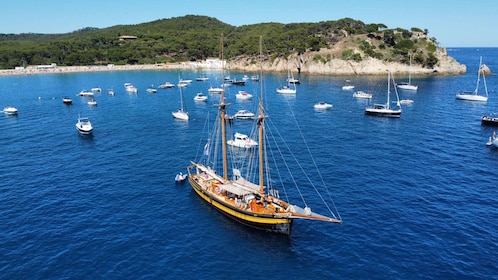 From Palamos: Scenic Boat Trip to Calella de Palafrugell