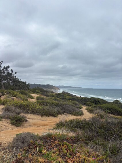 Picture 11 for Activity Solana Beach: Electric Bike Rental with 5-Level Pedal Assist