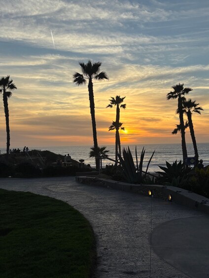 Picture 7 for Activity Solana Beach: Electric Bike Rental with 5-Level Pedal Assist