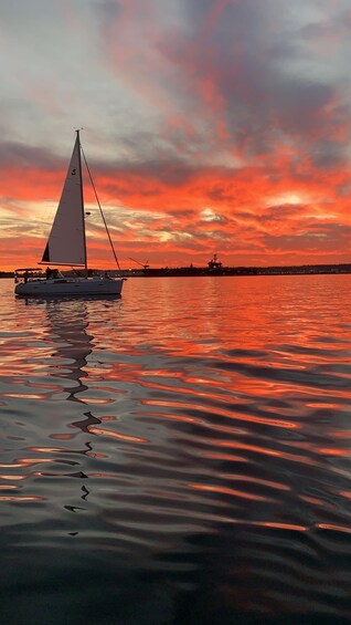 San Diego: San Diego Bay Sunset & Daytime Sailing Experience