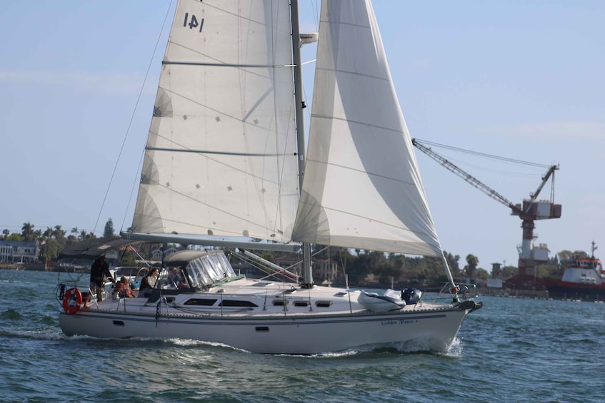 Picture 4 for Activity San Diego: San Diego Bay Sunset & Daytime Sailing Experience