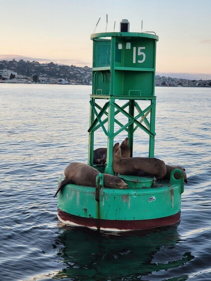 Picture 6 for Activity San Diego: San Diego Bay Sunset & Daytime Sailing Experience