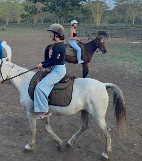 Picture 3 for Activity Arusha: Horse Riding Guided Tour