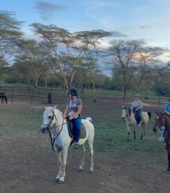 Arusha : Randonnée à cheval visite guidée