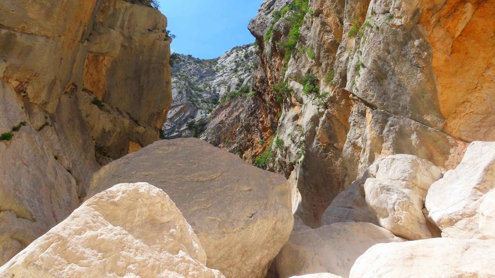 Picture 10 for Activity From Cala Gonone: Gorropu hiking with lunch