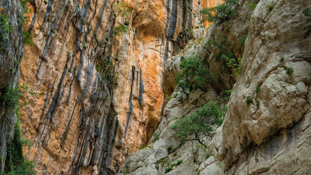 Picture 6 for Activity From Cala Gonone: Gorropu hiking with lunch