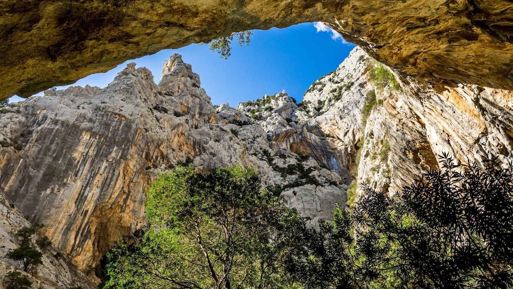 From Cala Gonone: Gorropu hiking with lunch