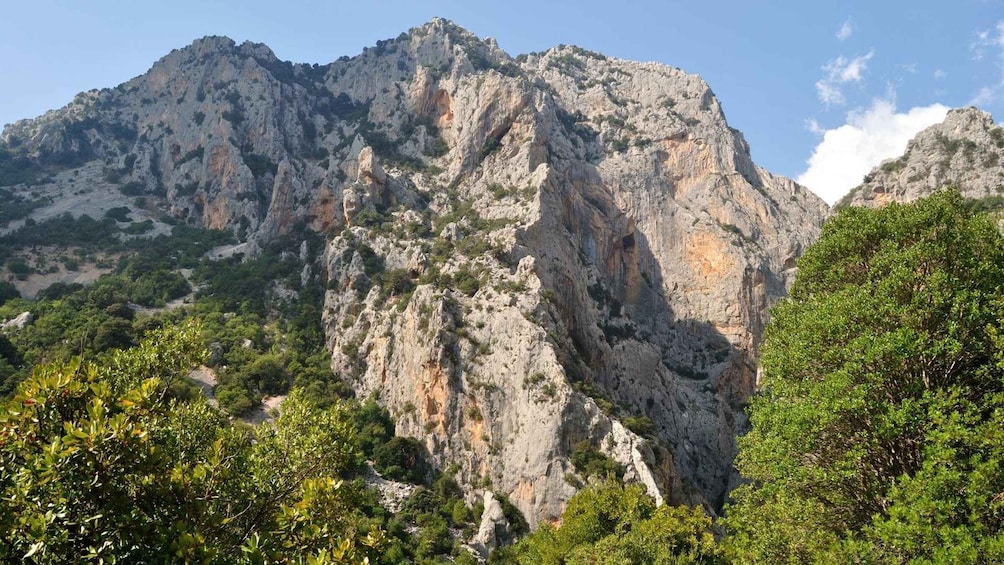 Picture 5 for Activity From Cala Gonone: Gorropu canyon trekking with lunch
