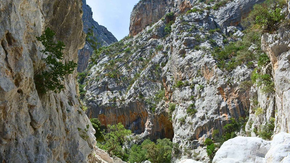 Picture 4 for Activity From Cala Gonone: Gorropu canyon trekking with lunch
