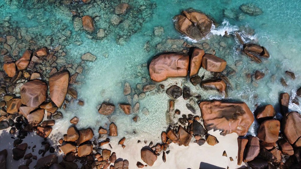 Picture 2 for Activity Seychelles: Praslin and La Digue Shared Trip with Lunch