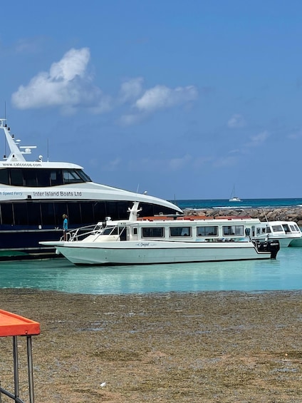 Seychelles: Praslin and La Digue Shared Trip with Lunch