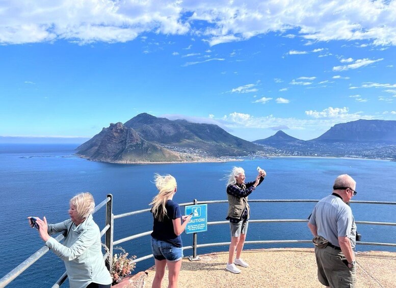 Picture 10 for Activity Private tour, Swim with Penguins at Boulders Beach