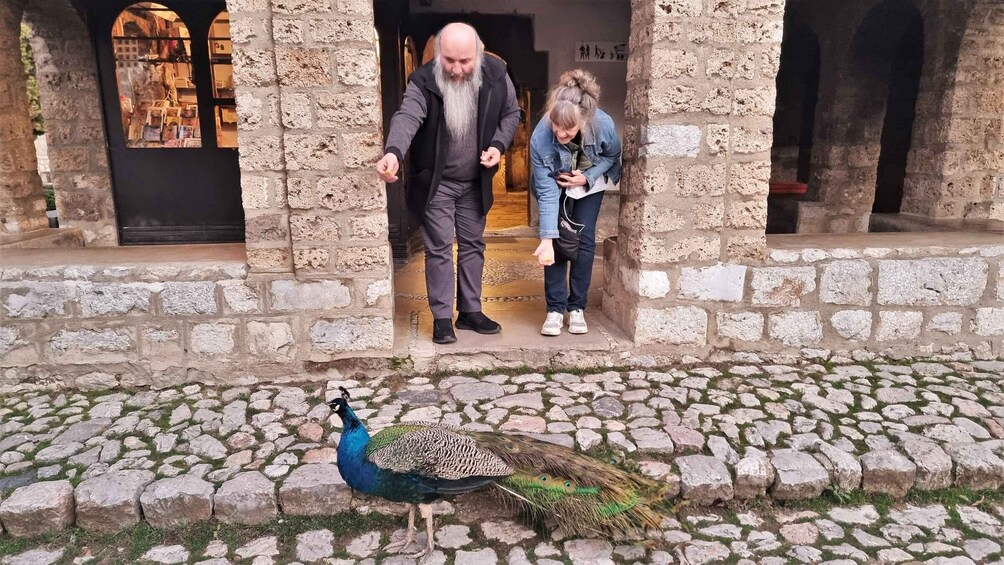 Picture 3 for Activity From Tirana: North Macedonia, Lake Ohrid and Saint Naum Tour