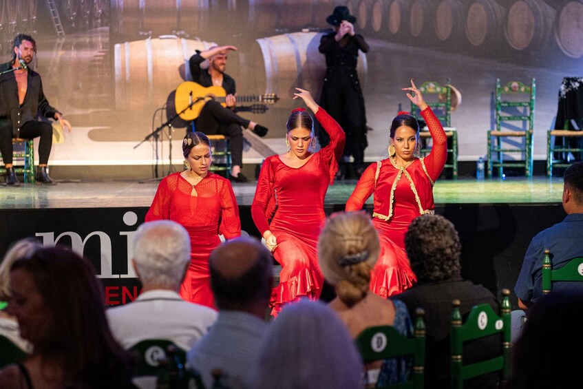 Estepona: Andalusian Flamenco Show Entry Ticket with Drink