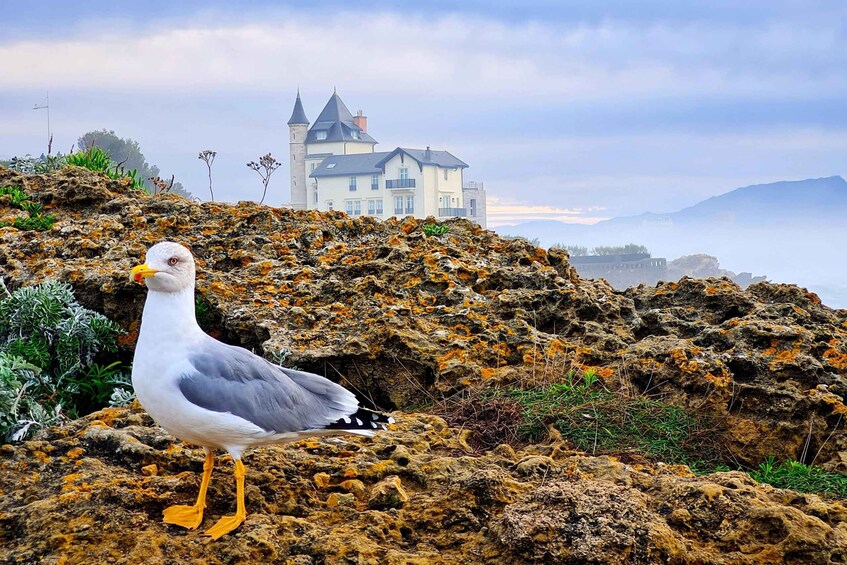 Picture 15 for Activity Biarritz guided walking & gourmet tour