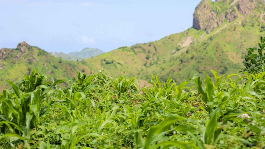 Hiking: From Serra Malagueta to Rabelados Community