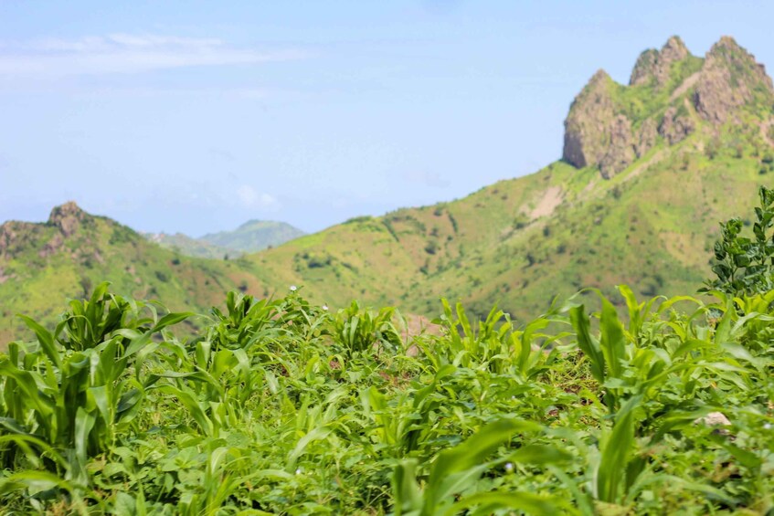 Hiking: From Serra Malagueta to Rabelados Community