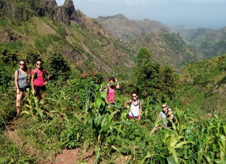 Picture 17 for Activity Hiking: From Serra Malagueta to Rabelados Community