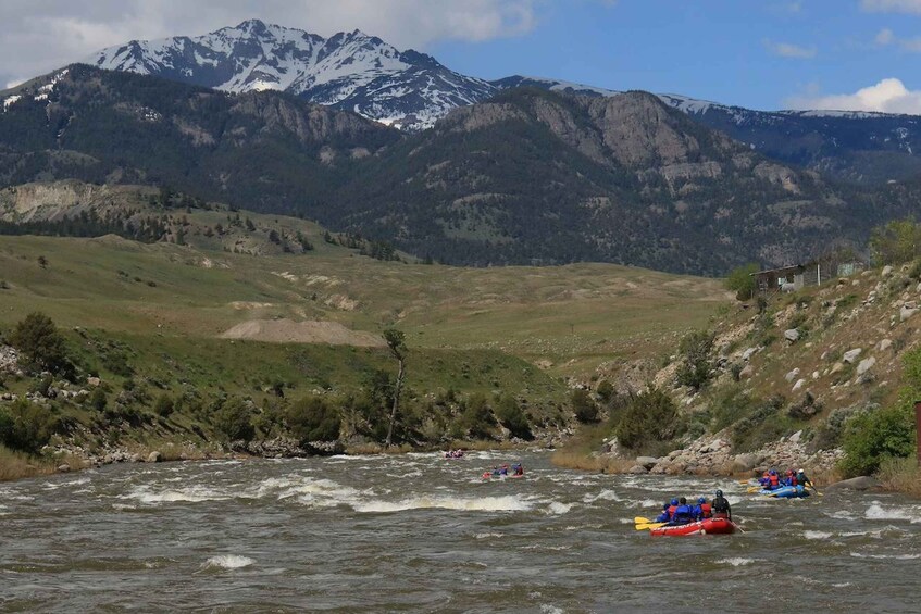 Picture 4 for Activity Gardiner: Half-Day Whitewater Raft Trip on the Yellowstone