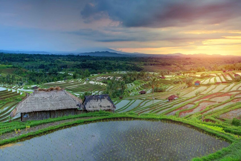 Picture 7 for Activity Bali: Water Temple, Waterfalls and Unesco Rice Terraces Tour