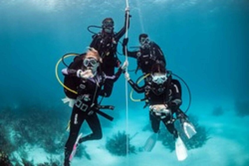 Picture 1 for Activity Diving