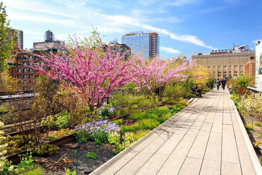 Private Tour of High Line, Chelsea, Hudson Yards and Edge