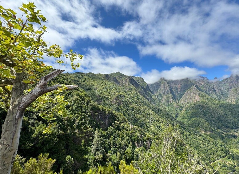 Picture 30 for Activity 4x4 Jeep Tour to the East & Northeast of Madeira