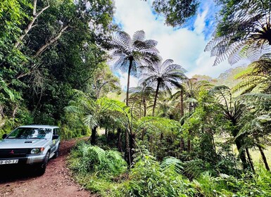 4x4 Jeep Tour to the East & Northeast of Madeira