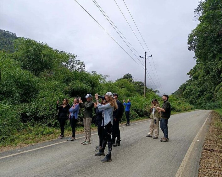 Picture 7 for Activity Amazonian Adventure 3 Days: Exploring the Jungle from Cusco