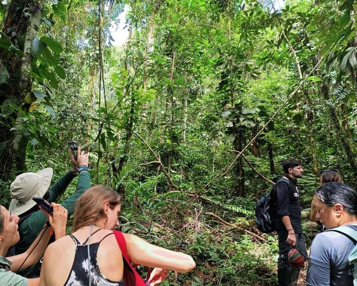 Picture 8 for Activity Amazonian Adventure 3 Days: Exploring the Jungle from Cusco