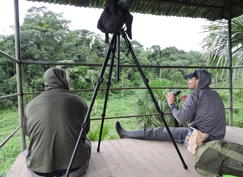 Picture 4 for Activity Amazonian Adventure 3 Days: Exploring the Jungle from Cusco