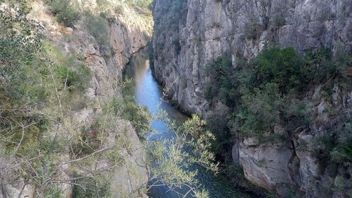 Walking Tour of The Canyon and Hanging Bridges of Chulilla