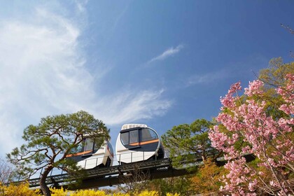 Seoul: Hwadam Botanischer Garten & Nami Island Blumen Tagestour