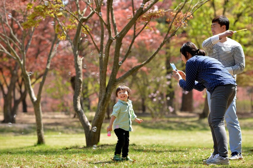 Picture 2 for Activity Seoul: Hwadam Botanic Garden & Nami Island Flowers Day Tour