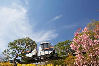 首爾：和談植物園和南怡島花卉日遊覽