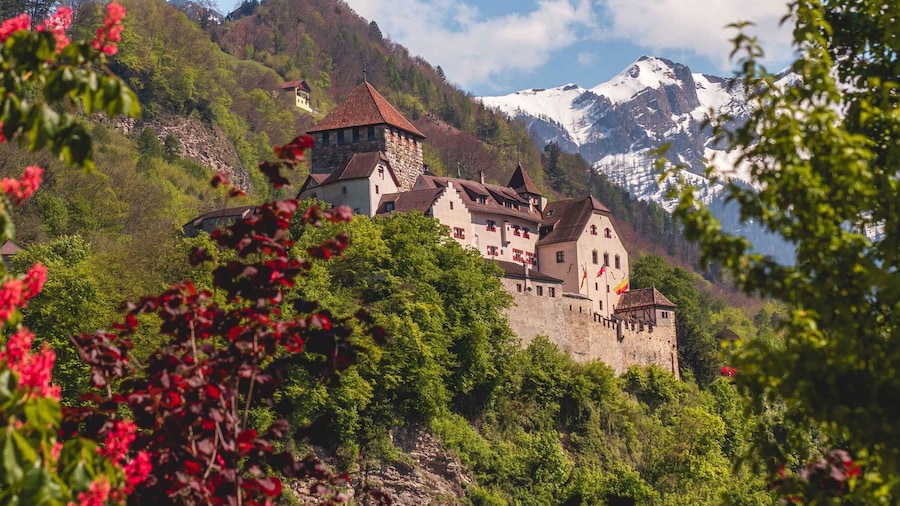Vaduz: Surprise Walk of the city with a local