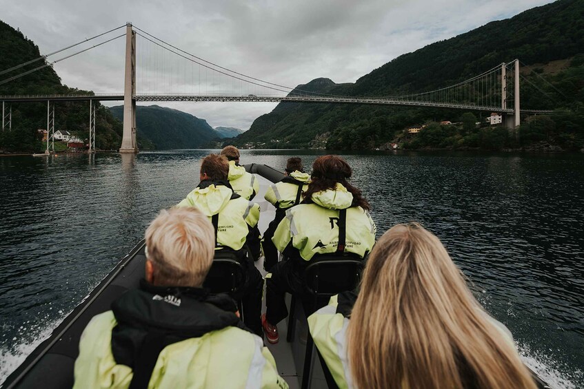 Picture 6 for Activity Norheimsund: Exclusive private Hardangerfjord RIB adventure