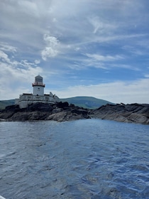 Sea Safari & Adventure : The Valentia Island Experience