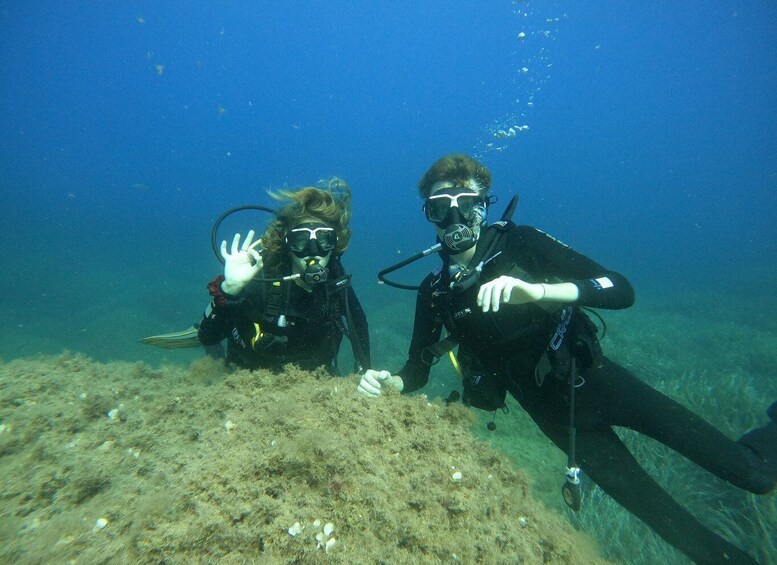 Picture 2 for Activity Scuba Diving Excursion in the Marine Protected Area