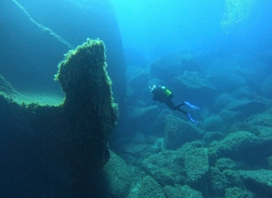 Best Scuba Diving excursion in Villasimius