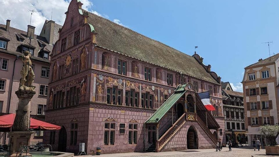 Mulhouse: Highlights Walking Tour with a local guide