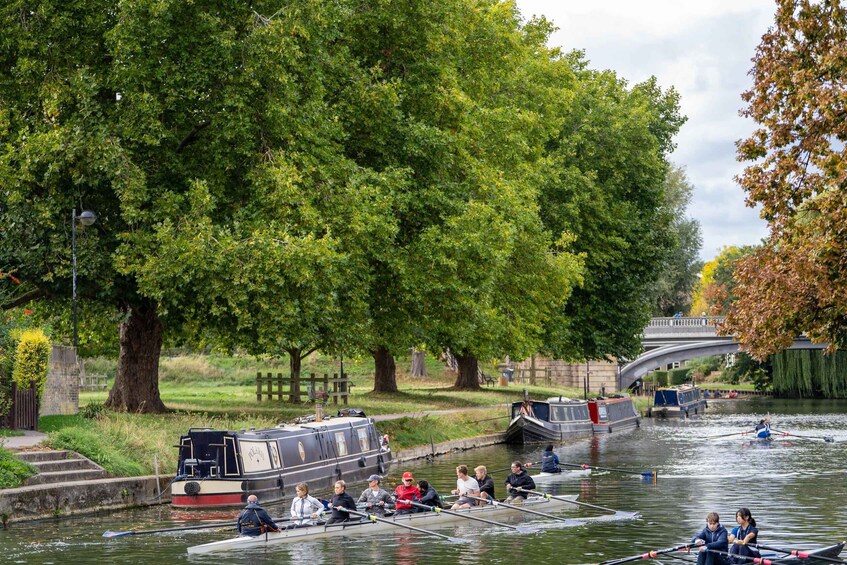 Picture 15 for Activity Experience ROWING like 'The Boys in the Boat' in Cambridge!